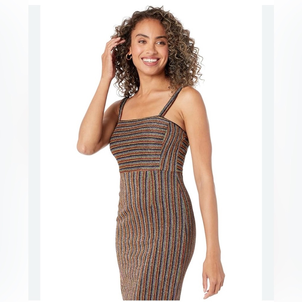 Donna Morgan Multi Color Metallic Striped Midi Dress